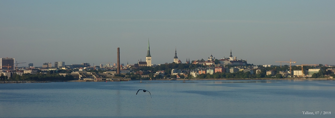 Bild1